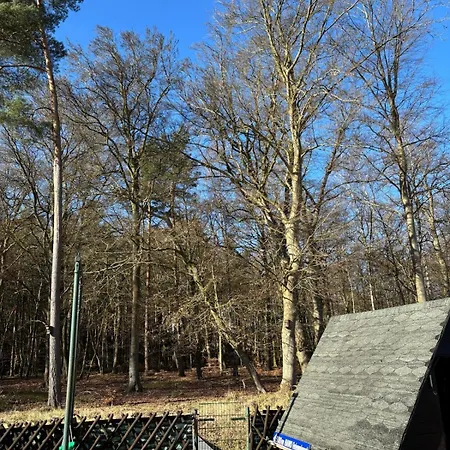 Am Kuestenwald Dom wakacyjny *