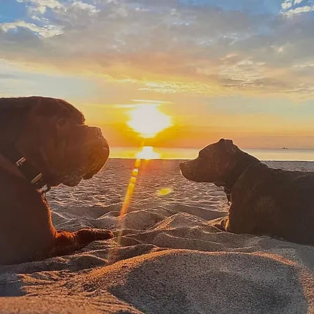Dom wakacyjny Am Kuestenwald *